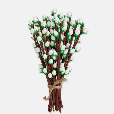 Medium willow twig with catkins and leaves
