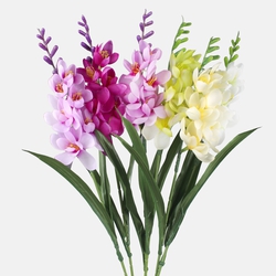 Freesia G469