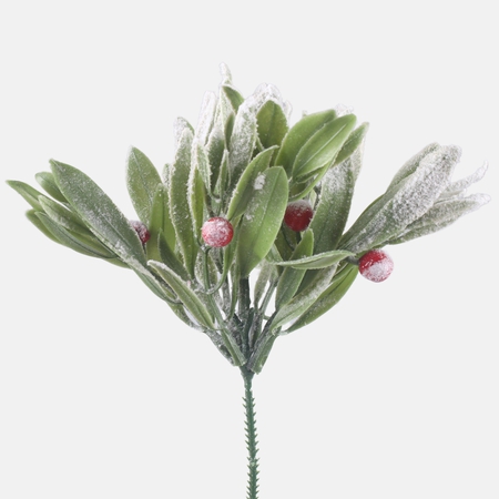 Snow-covered berry on the peak