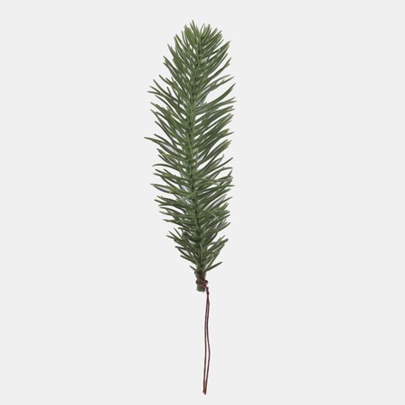 Spruce twig