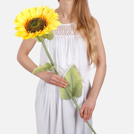 Sunflower XXL