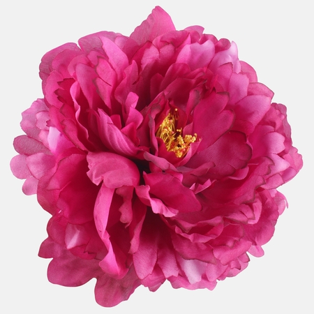 Peony