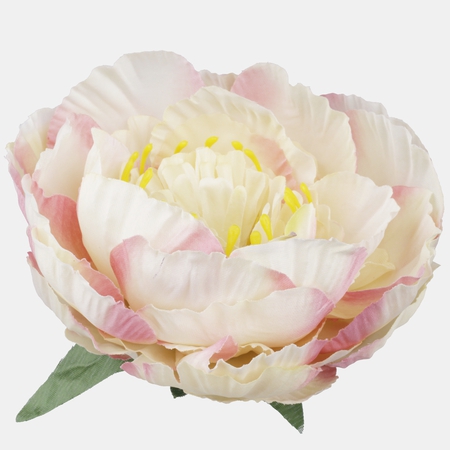 Satin peony