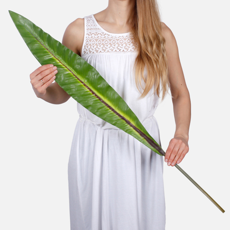 Rubberised strelitzia leaf XXL