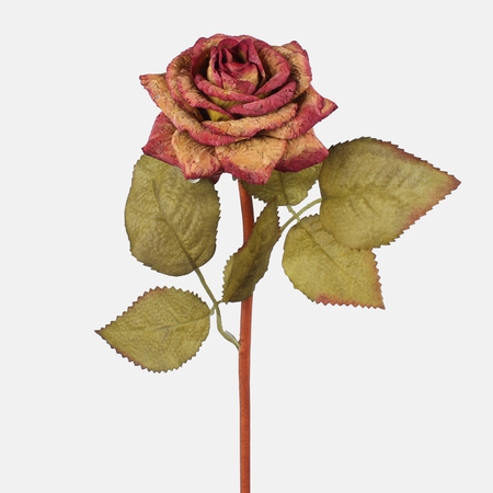 Cork Rose