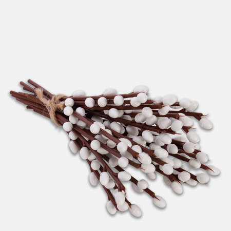 Medium willow twig with catkins without leaves