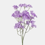 Lilac (L859-05)