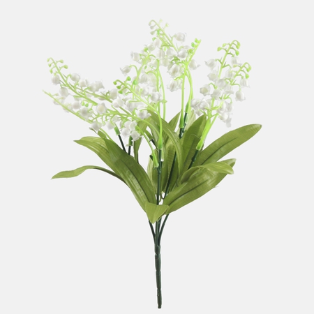 Lily of the valley