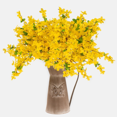 Forsythia