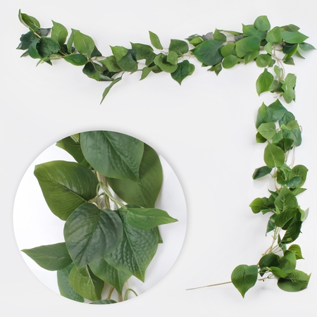 Pothos garland-2-m