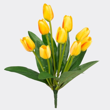 Tulip x 9