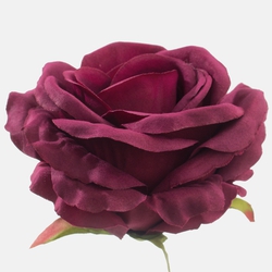 Rose W697