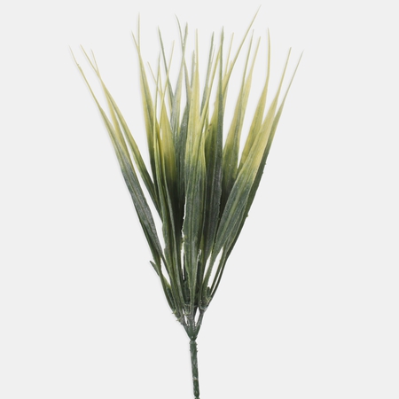 Decorative grass