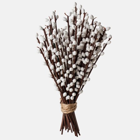 Small willow twig with catkins x 60 pcs