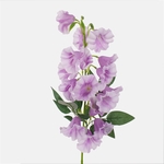 Lt. Lilac (L836-04)