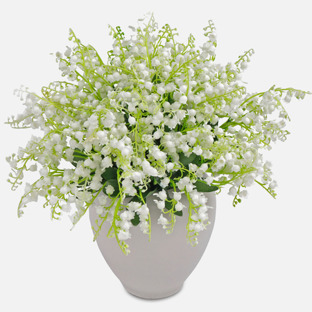 Lily of the valley