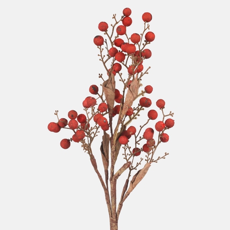 A sprig of hawthorn with fruit