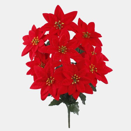 Poinsettia x 9